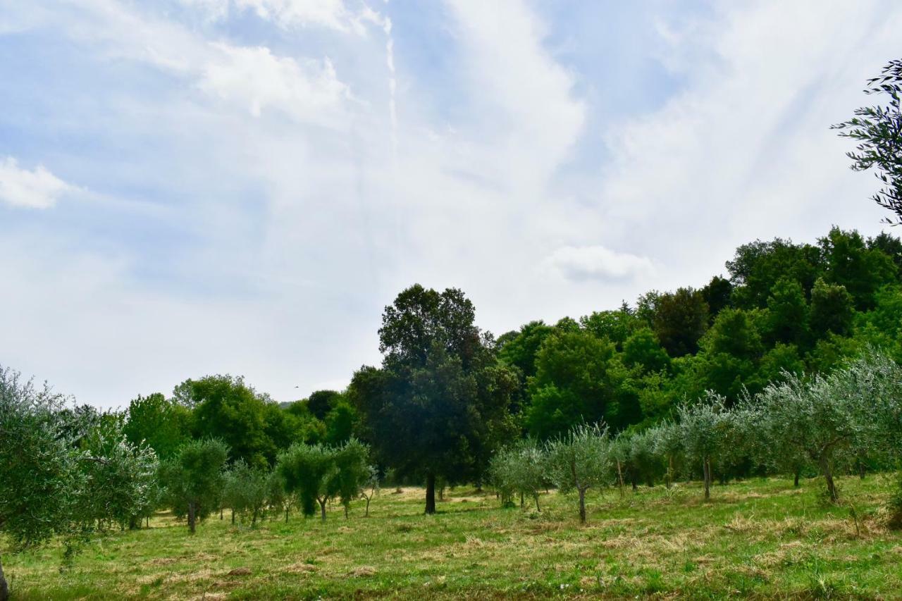 Mezzano In Chianti Aparthotel Strada in Chianti ภายนอก รูปภาพ